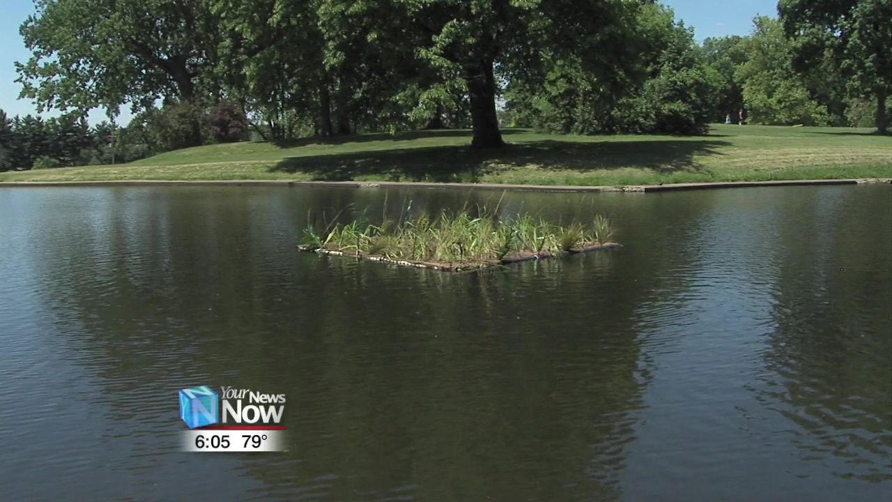 Floating Wetlands helping Faurot ponds get healthy.jpg